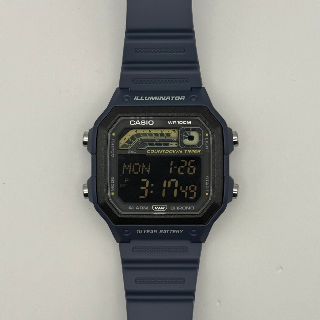 Custom WS1600 “Inverted Display”