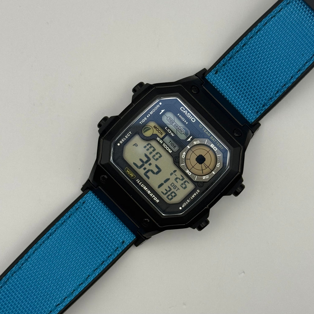 Custom WS1700 “Blue Fish”