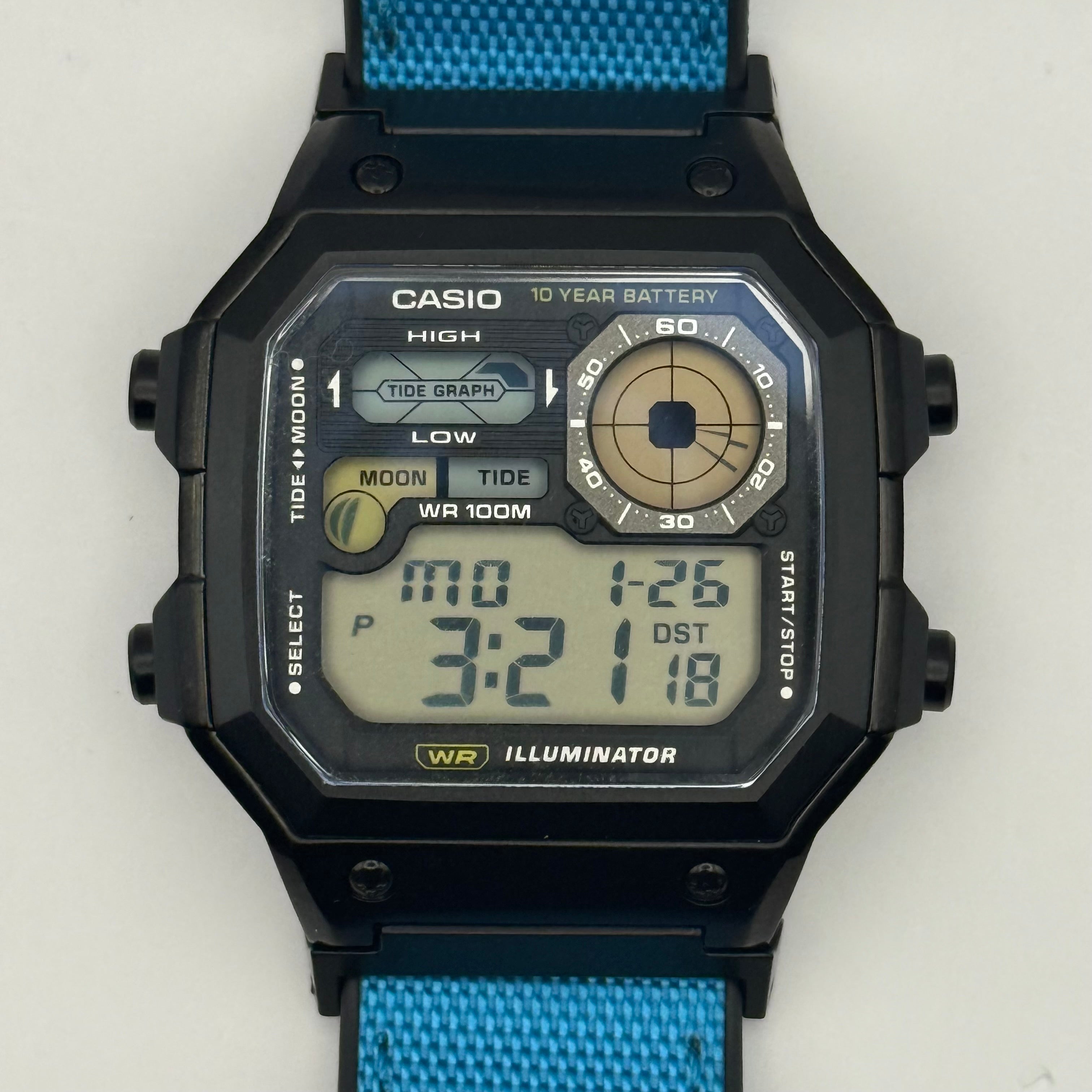Custom WS1700 “Blue Fish”