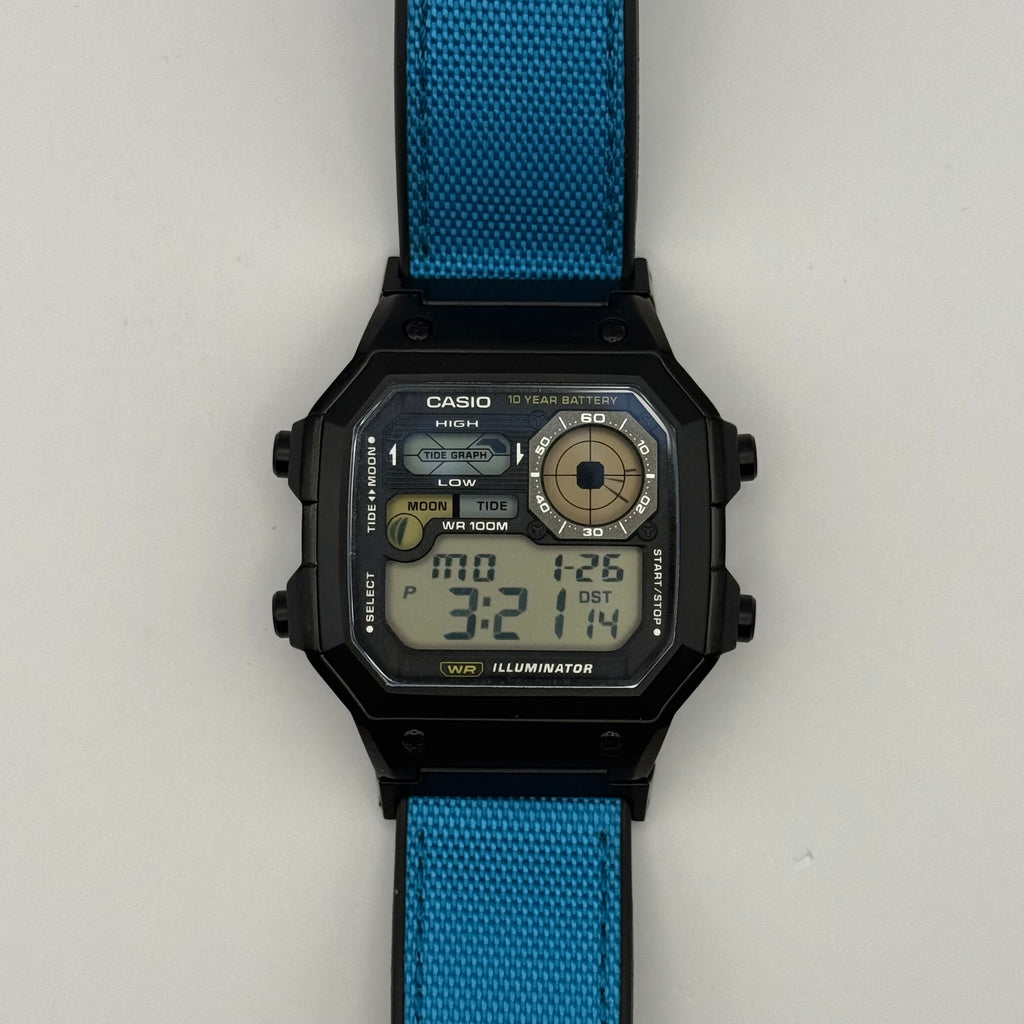 Custom WS1700 “Blue Fish”