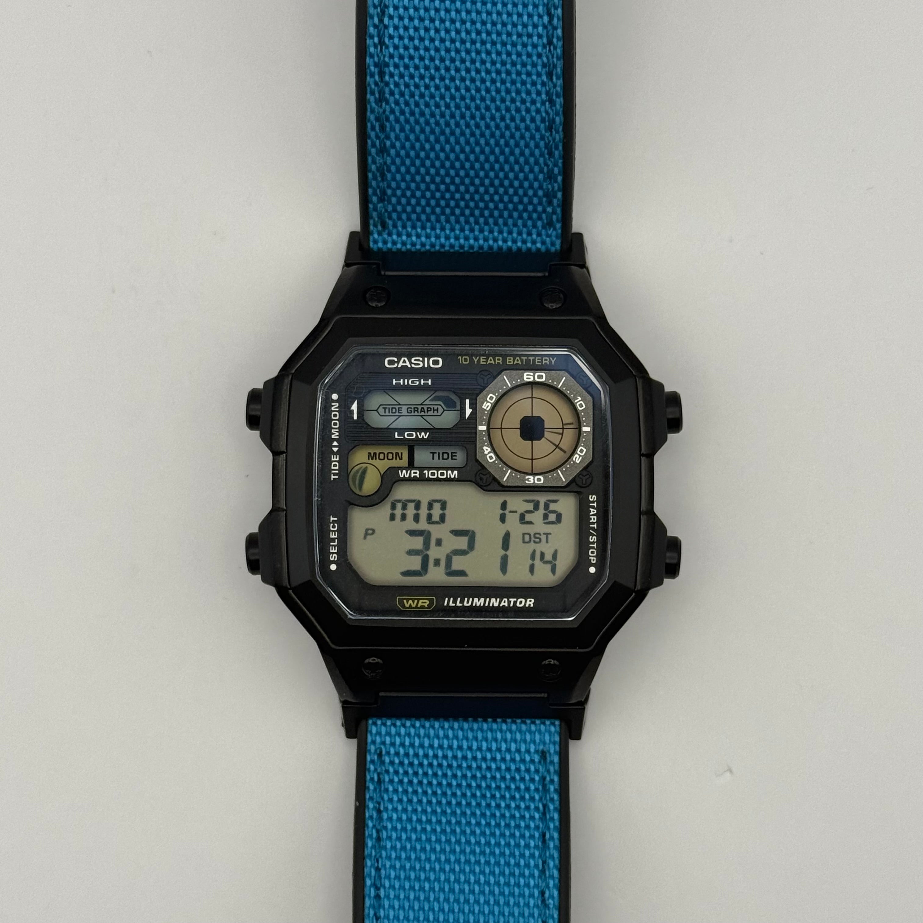 Custom WS1700 “Blue Fish”