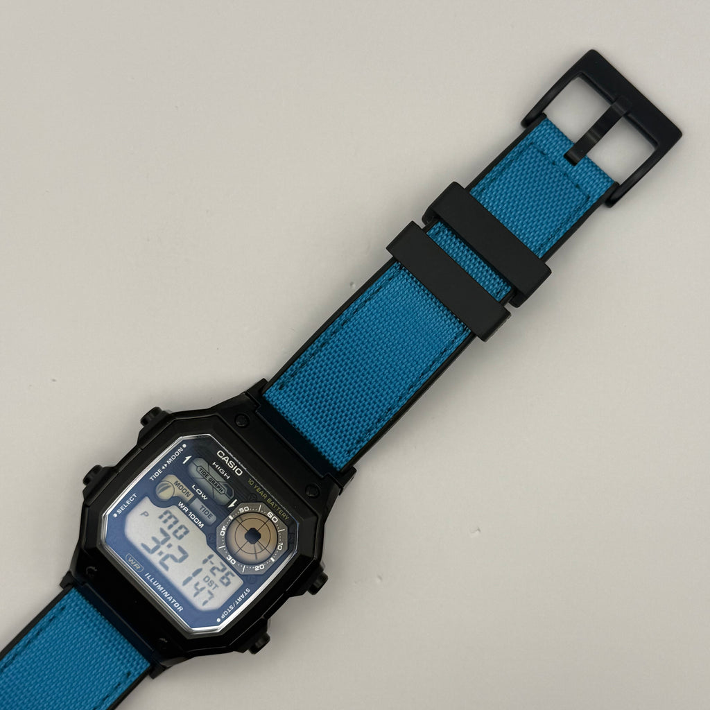 Custom WS1700 “Blue Fish”